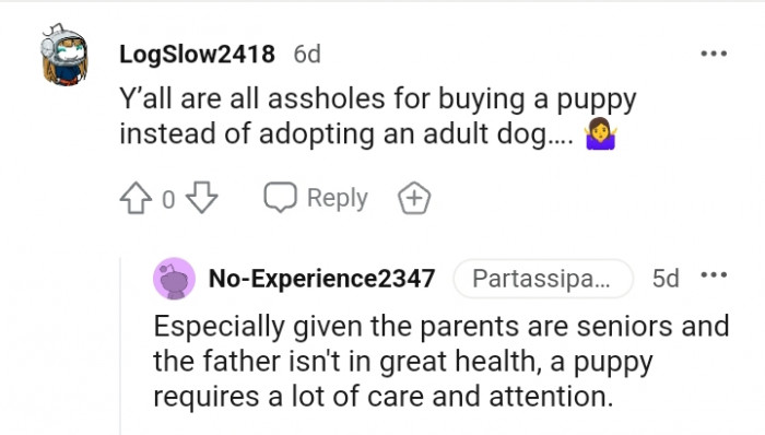Buying a puppy instead of adopting an adult dog