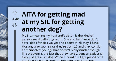 Woman Complains About Sister-In-Law's Dogs At Shared Vacation Home