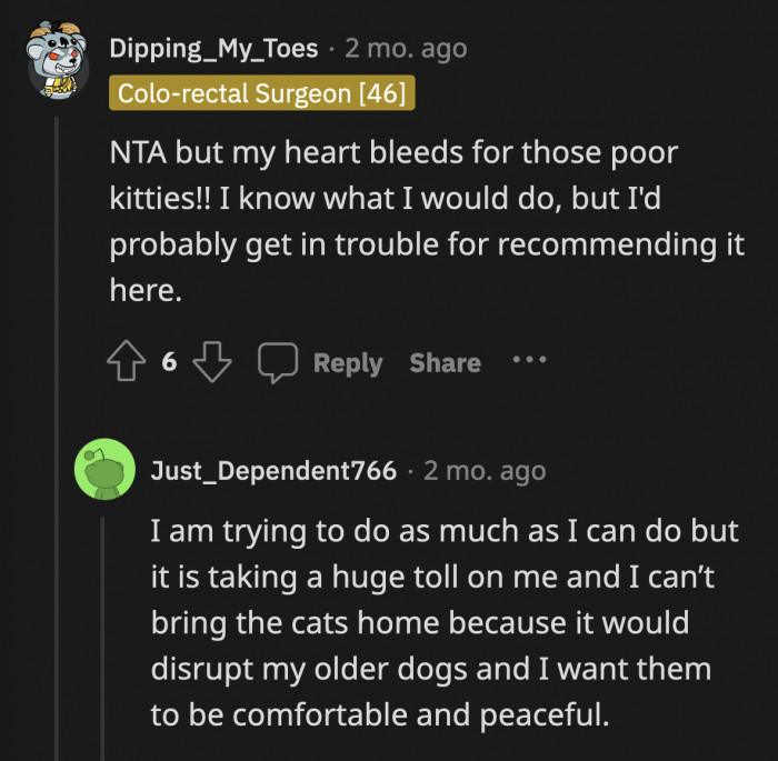 The best thing to do is to really remove the cats from the mom's