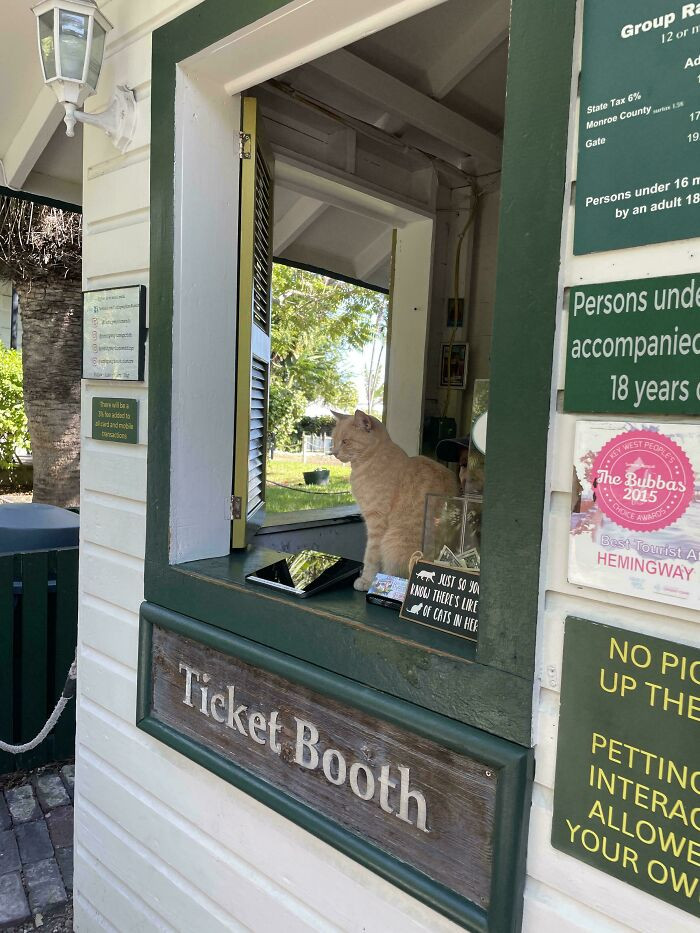 "Hemingway House Ticket Agent"