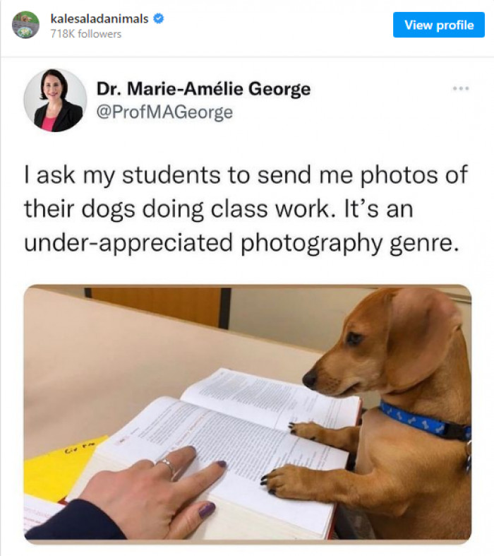 12. Here is a new assignment to get passionate about