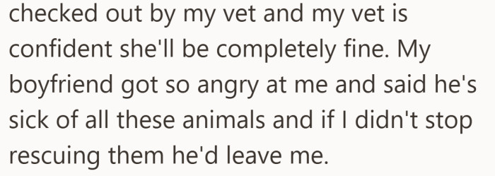 Once ultimatums enter the conversation, the argument stops being about the pet and starts being about the relationship.