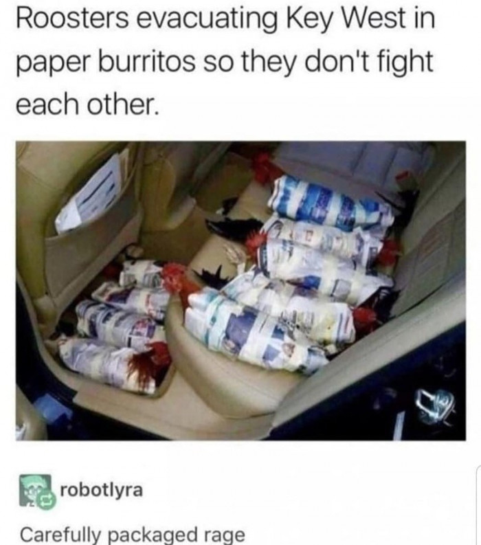 10. Couldn't have put it any other way