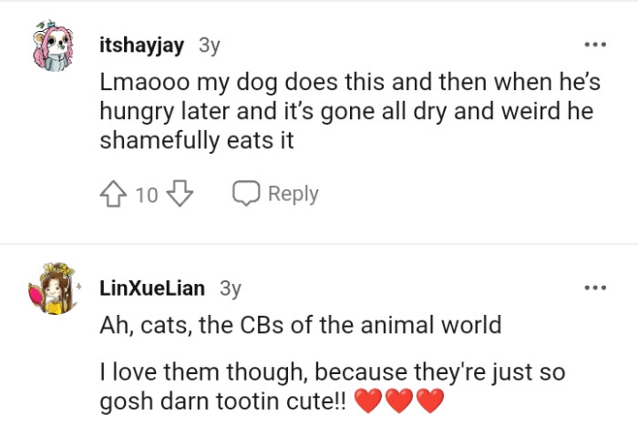 This Redditor reveals that their dog does the same thing