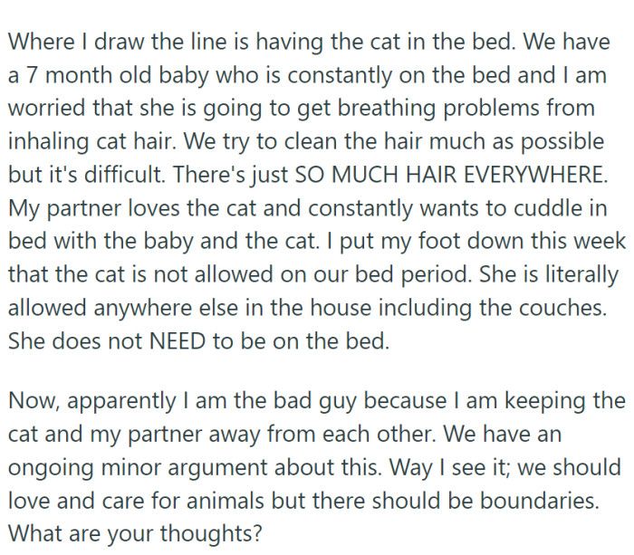 OP doesn't want the cat on the bed because of all the hair she is leaving around. However, her husband disagrees.