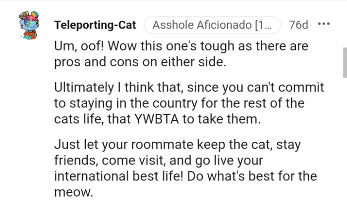 The OP should just let the roommate keep the cat