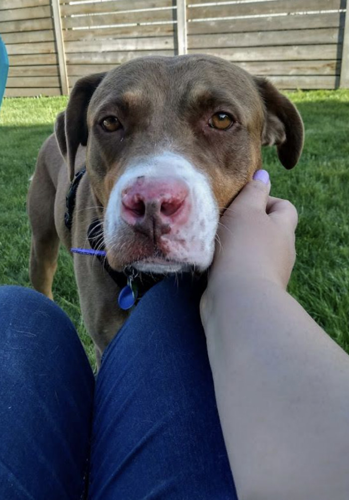 6. "A Gus transformed!"