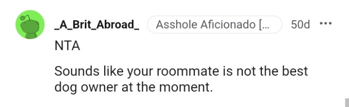 OP's roommate is not the best dog owner
