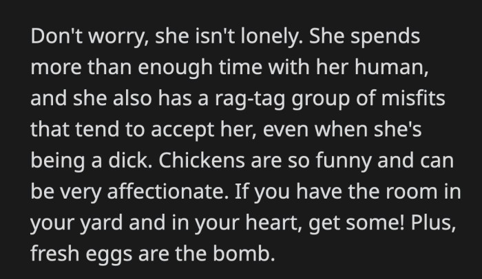 ... and she's the leader of the misfits? Chicken Tim Allen rocks!