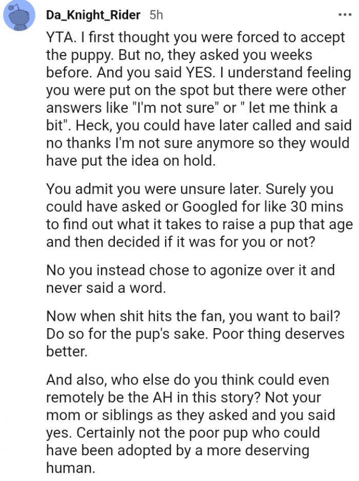 20. You Could Have Called and Said You Don't Want the Pup