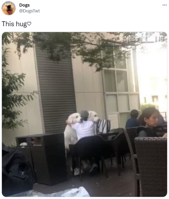 12. The best hug ever