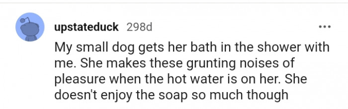 18. My Small Dog Makes These Small Noises of Pleasure