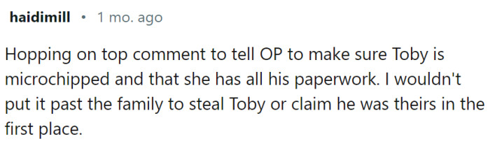 OP should microchip the cat