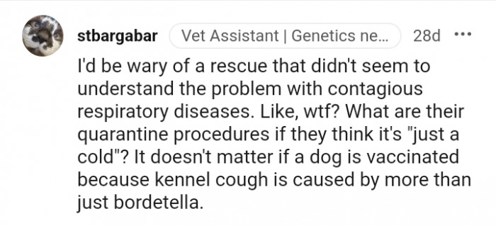 What are their quarantine procedures?