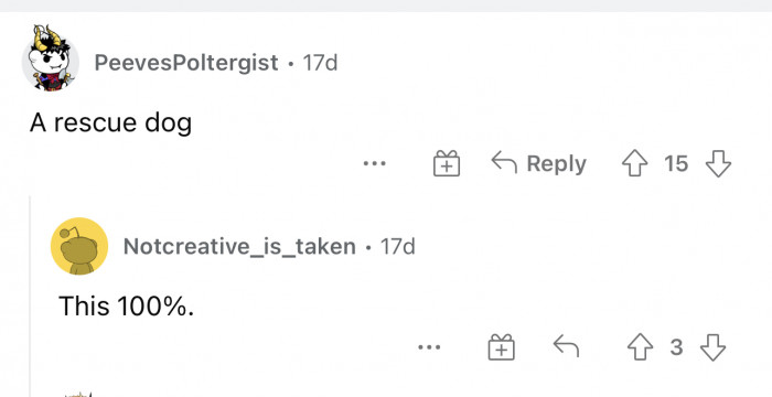 Another person advocating for rescues, which we love to see. Remember that these dogs are in great condition and are in need of an owner.