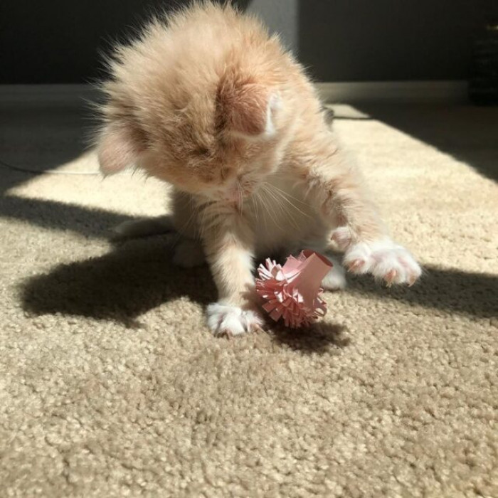 He found out what love truly means