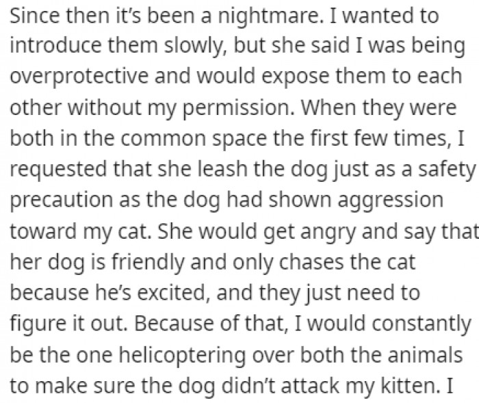 OP was protective of her cat from the day she got it