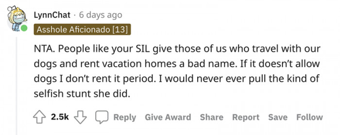 People Who Own Dogs Simply Don't Rent Properties That Don't Allow Dogs—It Is That Simple. Of Course, They Are Also Paying for Them. We Guess It Is Much Easier to Lie When Someone Else Is in Danger of Losing Their Deposit.