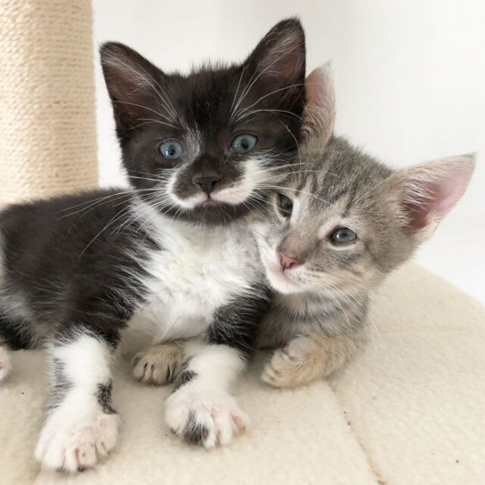 They will be so happy