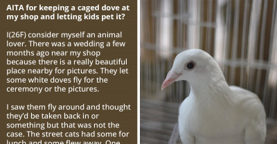 Redditor Asks If She Is Wrong For Keeping A Caged Dove At Her Shop And Letting Kids Pet It