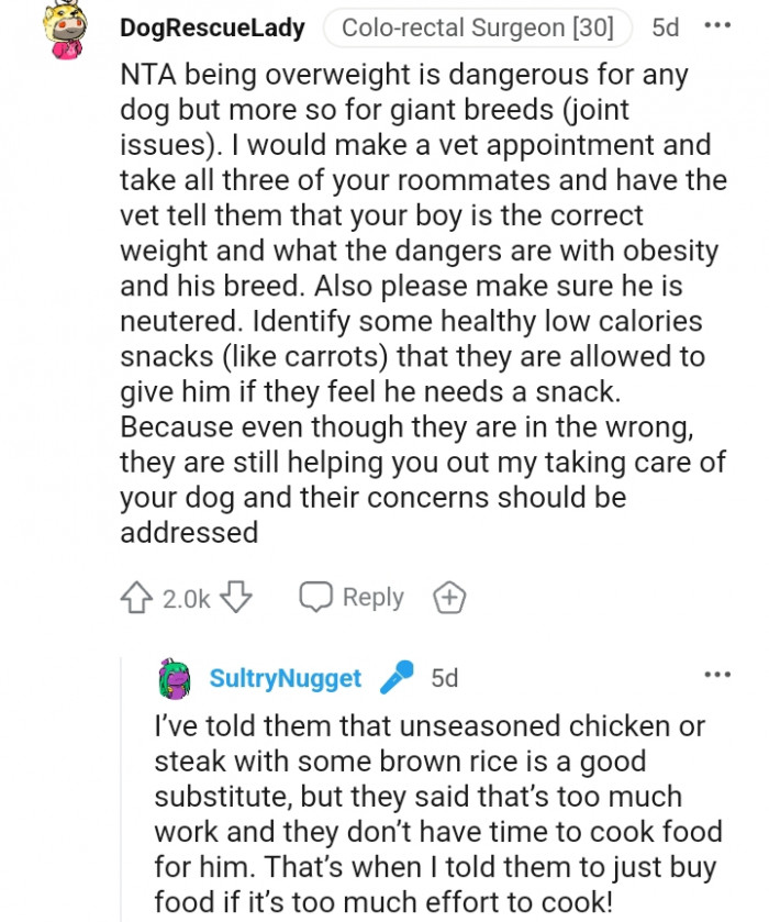 8. Please Make Sure He Is Neutered