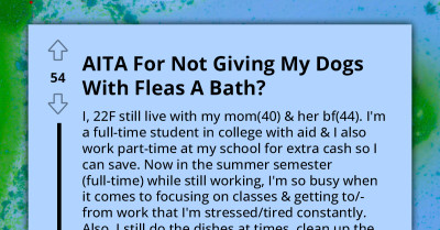 Online Community Raises Eyebrows at a Woman Who Claims She Doesn't Have Time to Bathe Her Flea-Ridden Dogs, but Has Enough Time to Complain on Reddit