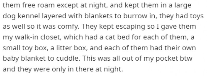 After seeing the condition the ferrets were in, he did everything he could and bought everything they might ever need.