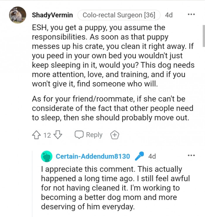 You get a puppy, you assume the responsibilities