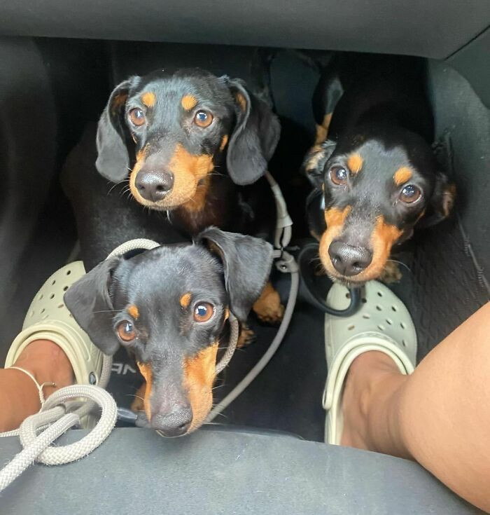 "Do You Think They All Want My Lap?"
