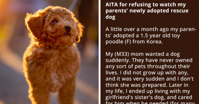 Redditor Angry At His Parents For Taking Back The Dog They Rehomed A Couple of Days Earlier
