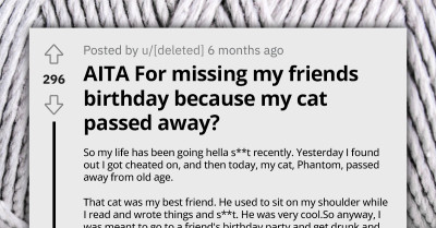 Grieving Lady Apologizes to Friend for Not Attending Their Birthday Party Because She Lost Her Relationship and Her Cat, Gets Termed Selfish