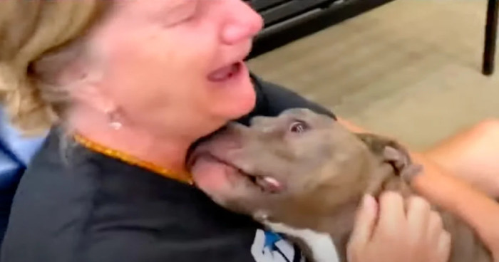 Betsy pictured cuddling her long-lost pittie