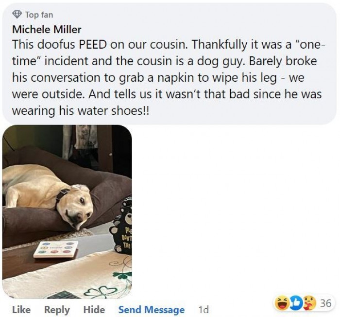 7. Dog lovers are the best! And so are water shoes.