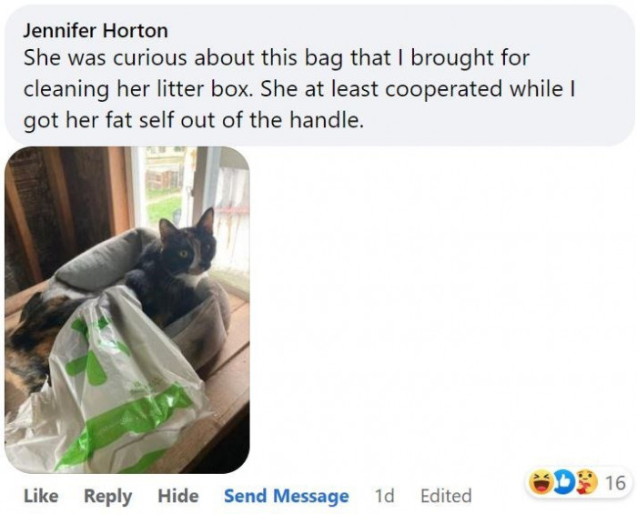 10. Never caught off guard