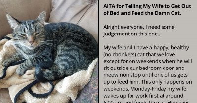 Man Threatens To "Kick His Wife Out Of Bed" If She Doesn’t Get Up Early On Weekends To Feed The Cat - Interesting Family Dispute
