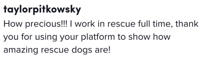 Thank you for using your platform