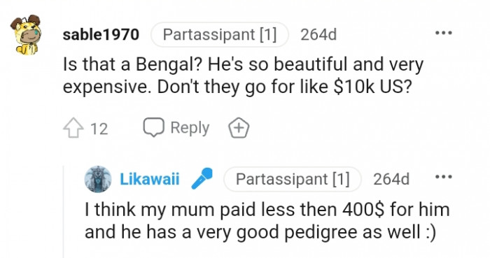 He's so beautiful and very expensive