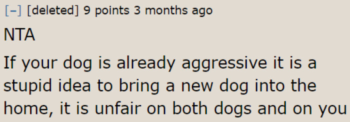 Why is the mother not considering their aggressive dog?