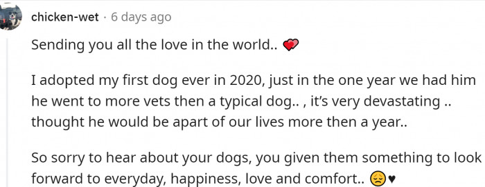 Redditors send their love to OP and his dog.