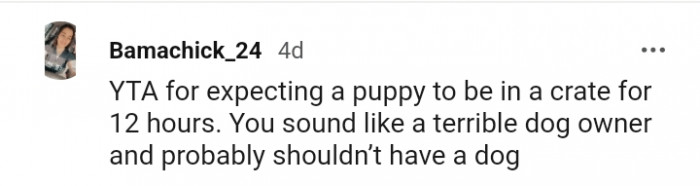 17. The OP sounds like a terrible dog owner