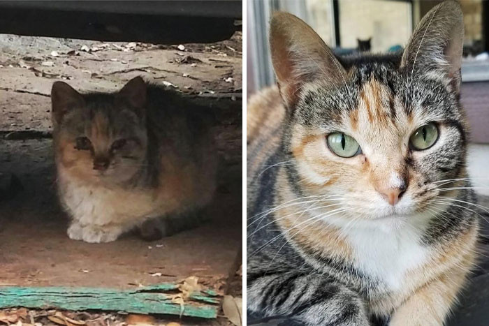 44. Zoe before and after