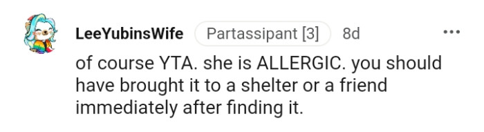 The OP should have brought the cat to a shelter or a friend