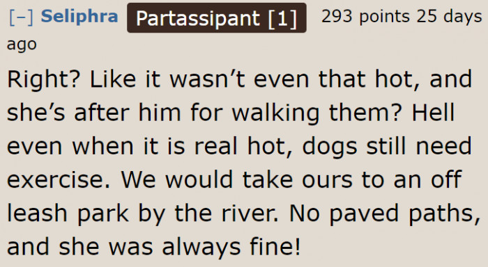 Dogs still need exercise even if it's hot outside.