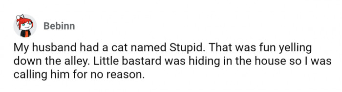 17. Cat: Who's stupid now?