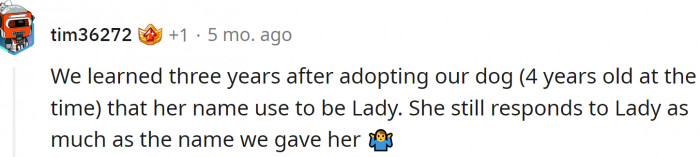 Rescued dogs respond to several names: