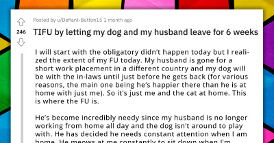 Woman Regrets Letting Her Husband and Dog Leave for Six Weeks Because She Became the Sole "Victim" of Their Needy Cat