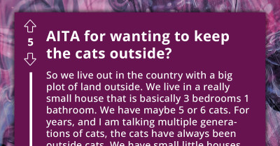 Concerned Online Users Slam Redditor For Insisting On Keeping Cats Outdoors Even After Her Sister Wanted Them Inside For The Sake Of Her Mental Health
