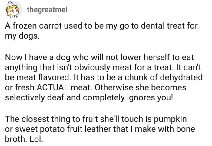 3. They make their dog fruit leather with a bone broth base