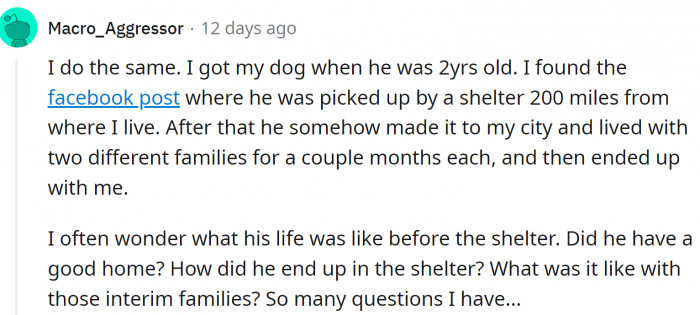 They often wonder what their lives would be like