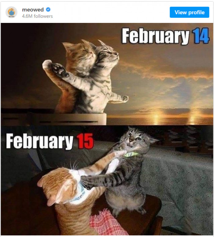 7. Any objections? Great, let's move on